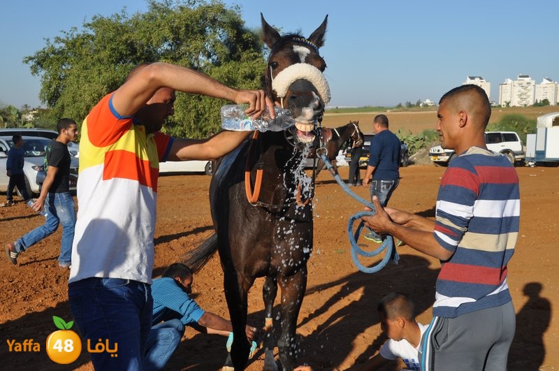 Khowoyouls ramala (47).JPG